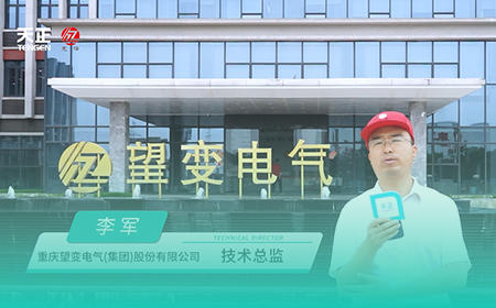 j9九游会登录入口九游会官网j9x望变电气